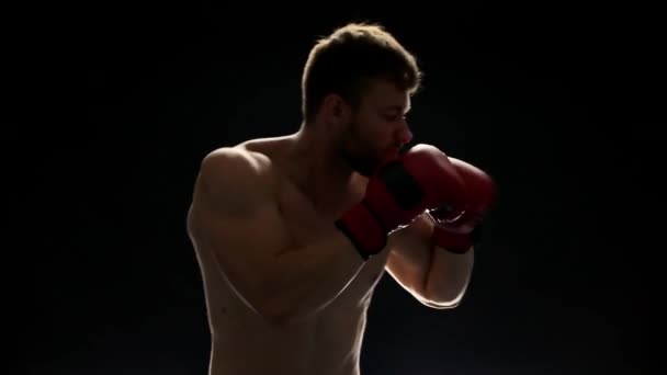 Strong boxer on a black background. — Stockvideo