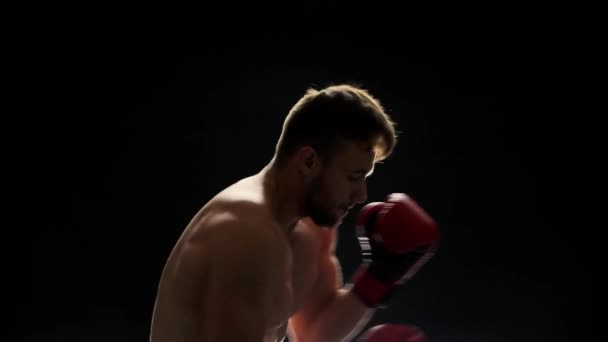 Guapo boxeador luchando en un ring . — Vídeo de stock