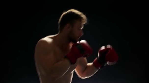 Boxeador atlético luchando sobre fondo oscuro . — Vídeos de Stock