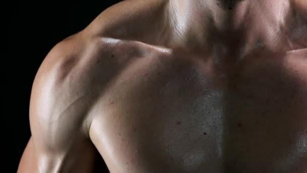 Bizeps und Brustmuskulatur des athletischen Mannes. — Stockvideo