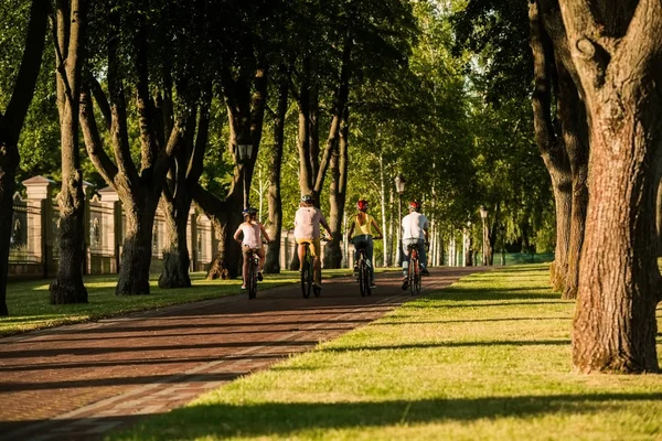 Люди їдуть на велосипеді в літньому парку, вид ззаду . — стокове фото