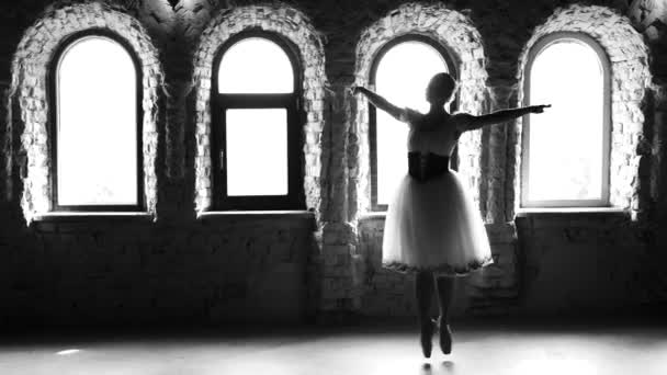 Ballerine sauteuse professionnelle en studio de danse . — Video