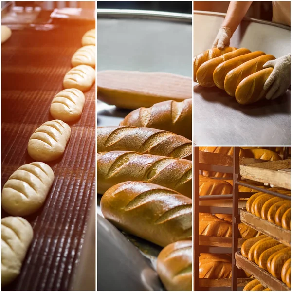 Processo de cozedura de pão . — Fotografia de Stock