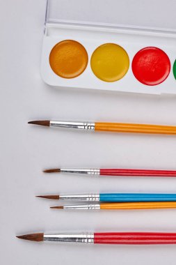 Suluboya paleti ve boya fırçaları.