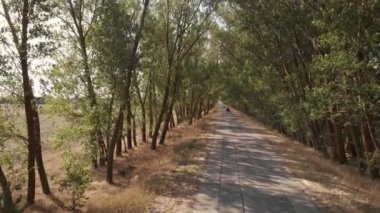 Asfalt yolda binen arabalar, yukarıdan görünümü.