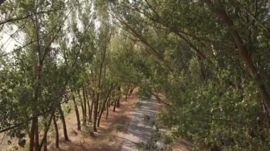 Kırsal yol, drone görünümü ile Amazing manzara.