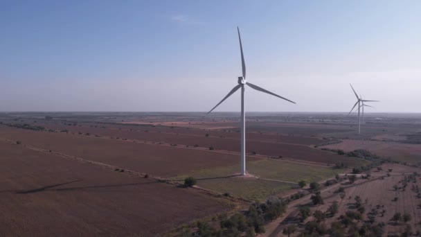 Wind turbines op de achtergrond van Morning Sky. — Stockvideo