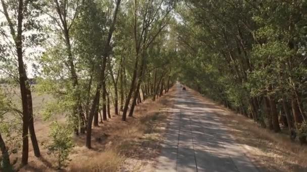 Coches montando en el camino de asfalto, vista desde arriba . — Vídeo de stock