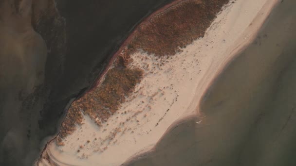 Sea island, aerial view. — Stock Video