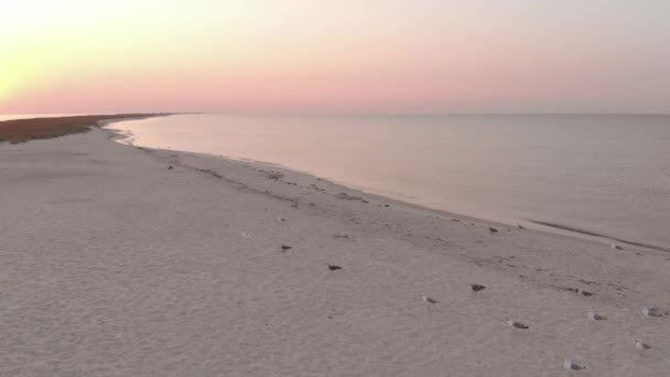 Παραλία και θάλασσα στο ηλιοβασίλεμα του ουρανού. — Αρχείο Βίντεο