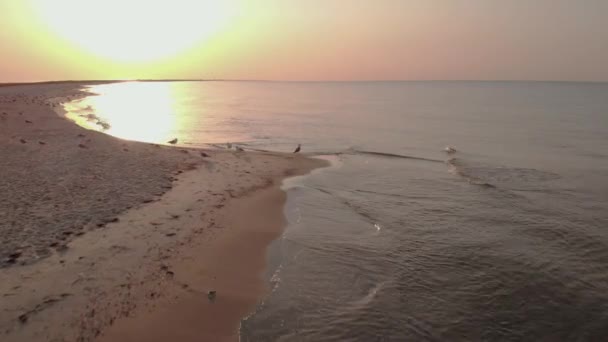 Піщаний пляж зі спокійною водою на заході сонця . — стокове відео