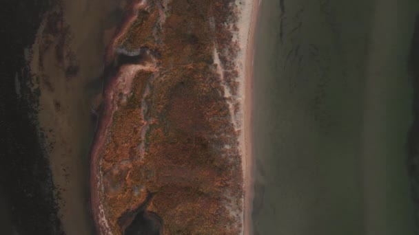 Панорамний вид з дрона на море і узбережжя . — стокове відео