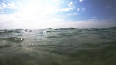 Kıyıya yakın su altında yüzen denizanaları.