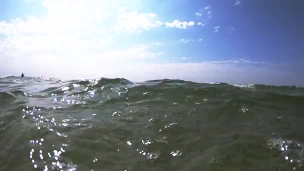 Onde del mare blu vista da vicino . — Video Stock