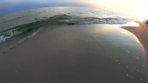 ภูมิทัศน์ฤดูร้อนที่สวยงามที่มีคลื่นทะเลบนชายหาด . — วีดีโอสต็อก