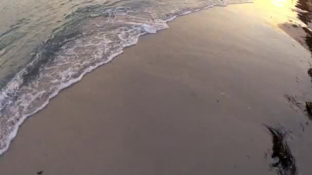 Veduta paesaggistica delle onde marine sulla spiaggia di sabbia al tramonto . — Video Stock