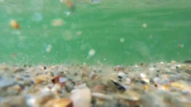 透明的海水和海底贝壳. — 图库视频影像