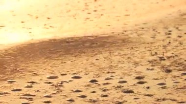 Deniz petrol kirliliği.