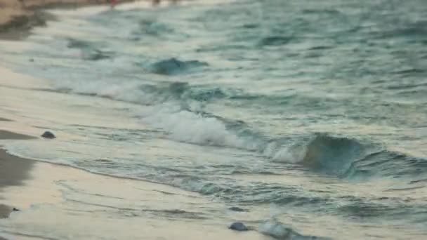 Close up of sea waves on sandy beach. — Stock Video