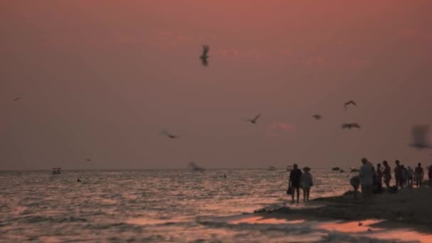 Människor gå på stranden vid solnedgången. — Stockvideo