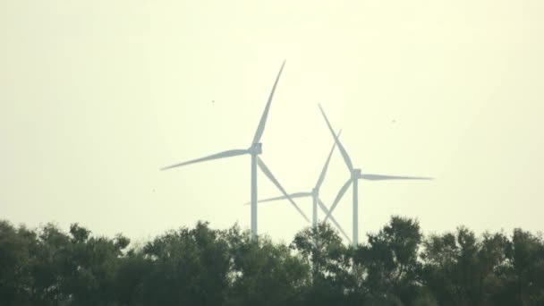 Větrné turbíny na pozadí oblohy. — Stock video