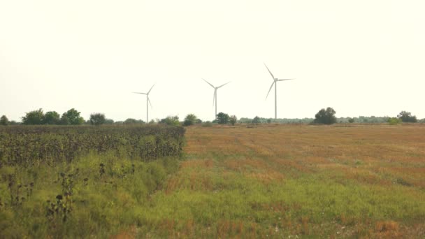 Jordbruksområde med spinning Wind trurbines. — Stockvideo