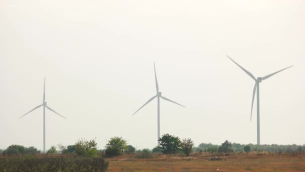 Řada větrných mlýnů pracujících na terénu. — Stock video