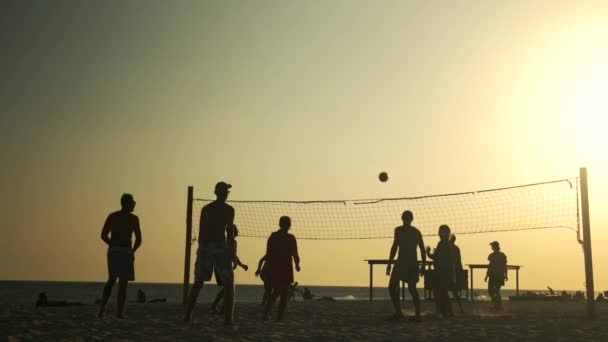 Люди грають пляж valleyball. — стокове відео