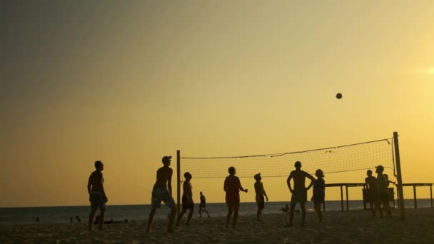 해변에서 일몰 하늘을 배경으로 배구를 하는 사람들. — 비디오
