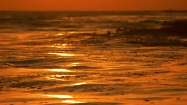 Złote światło słoneczne nad morzem. — Wideo stockowe