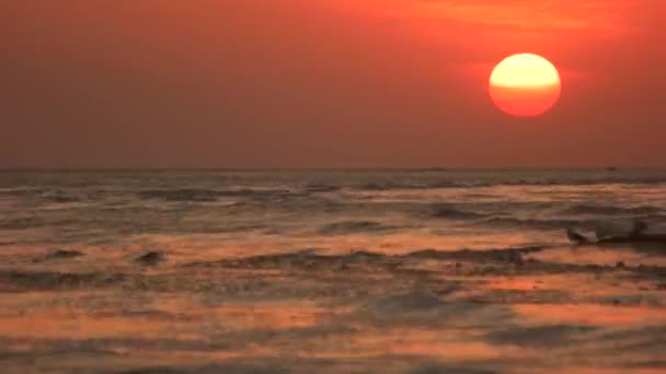 Beautiful seascape with sunset. — Stock Video