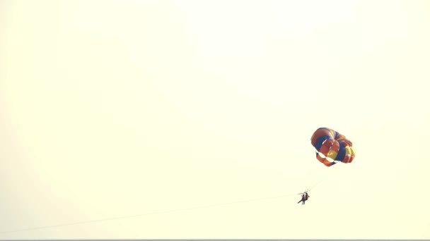 Casal voando em paraquedas sobre o mar . — Vídeo de Stock