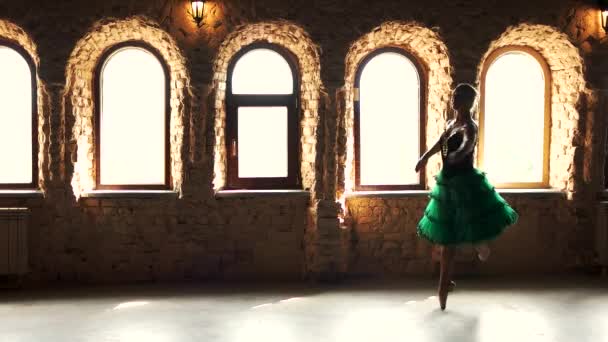 Elegant ballerina exercising in dance studio. — Stock Video