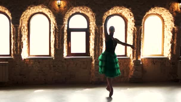 Slim ballerina elegante danza sulle punte dei piedi . — Video Stock