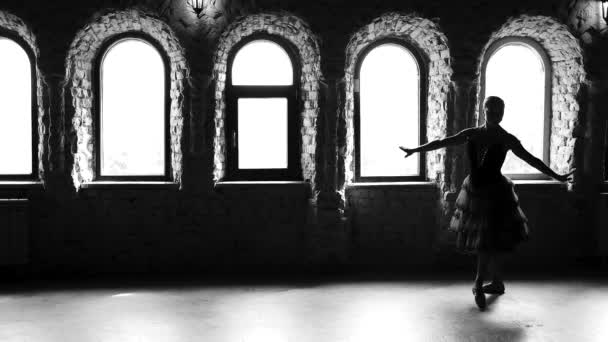 Balerin dans hareketleri, yavaş hareket performans. — Stok video