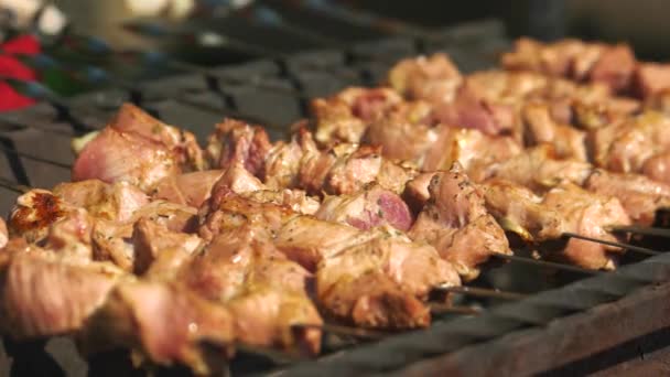 La carne viene fritta sugli spiedini alla griglia . — Video Stock