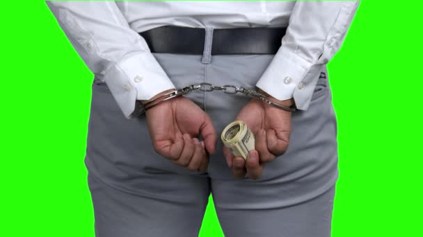 Businessman hands in handcuffs holding US dollars. — Stock Video