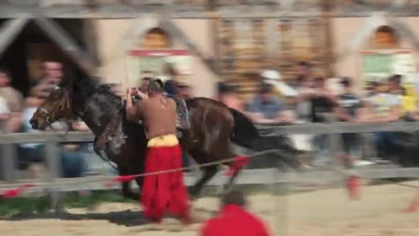 Cavaliere cosacco che fa trucchi . — Video Stock