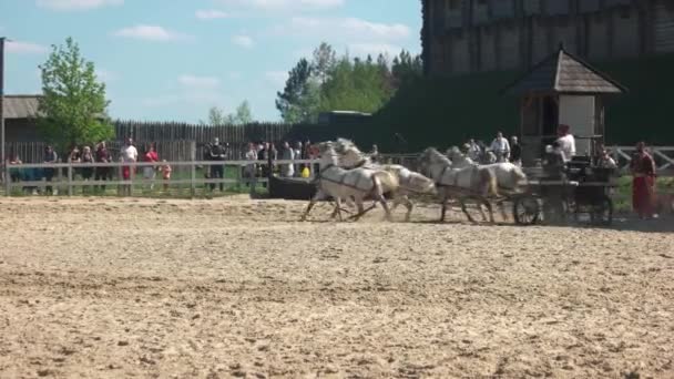 Spectacle équestre dans le parc Kievan Rus . — Video