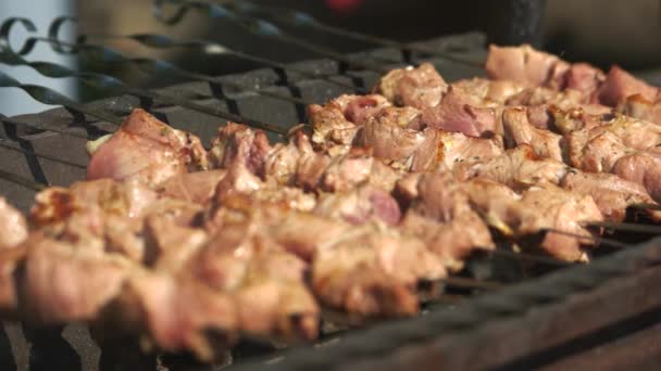 Barbacoa en la parrilla de cerca . — Vídeos de Stock