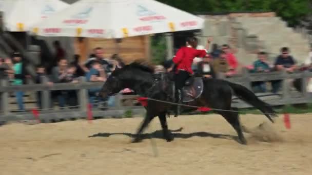 Tricks på galopperande häst. — Stockvideo