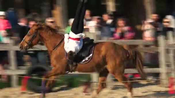 Menina equitação galopante cavalo . — Vídeo de Stock