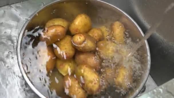 Raw potatoes in water. — Stock Video