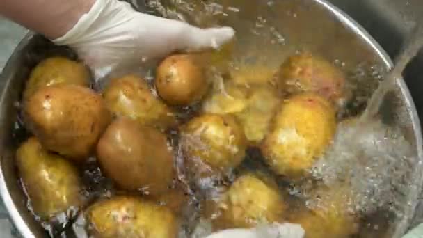 Handen wassen aardappelen in slow-mo. — Stockvideo