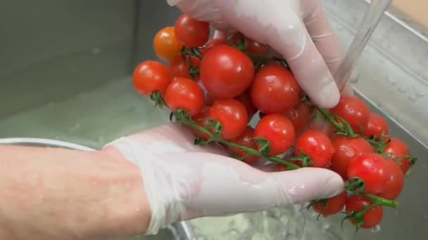 Handen wassen rijpe tomaten, slow-mo. — Stockvideo