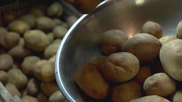 Sätta potatis i en skål. — Stockvideo