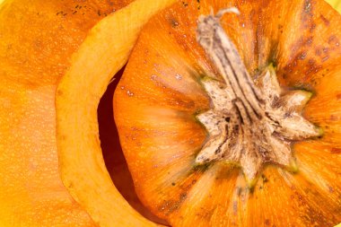 olgunlaşmış bir turuncu kabak kök makro.