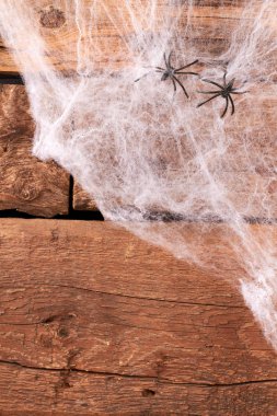 Web ve örümcekler Cadılar Bayramı arka plan.