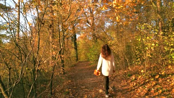 Mujer caminando sola por el sendero del bosque . — Vídeos de Stock