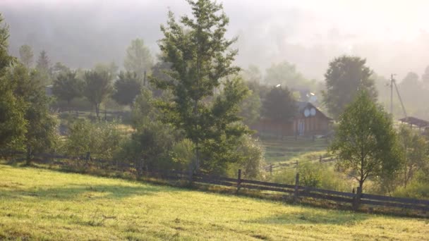 Matin brumeux et ensoleillé dans les Carpates . — Video